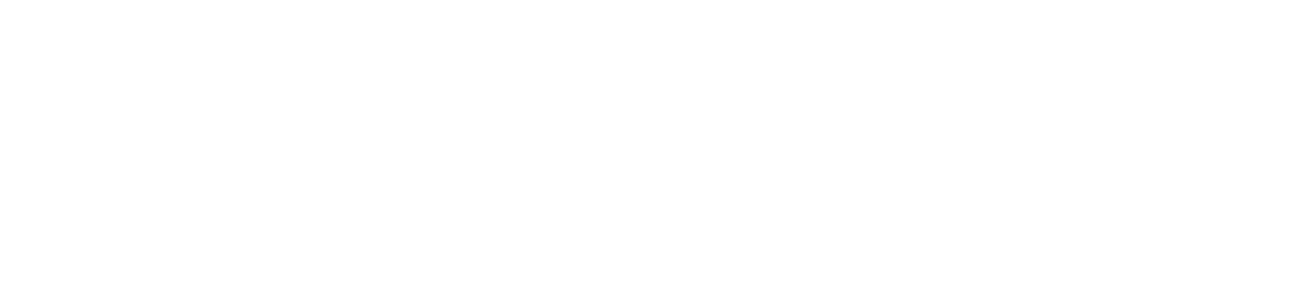 The Barnett