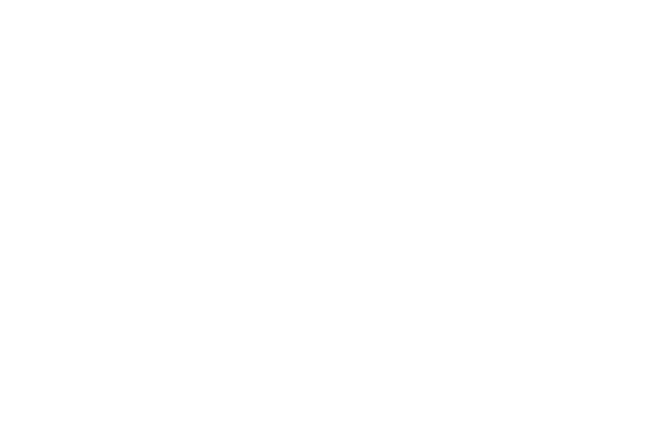 American Airlines