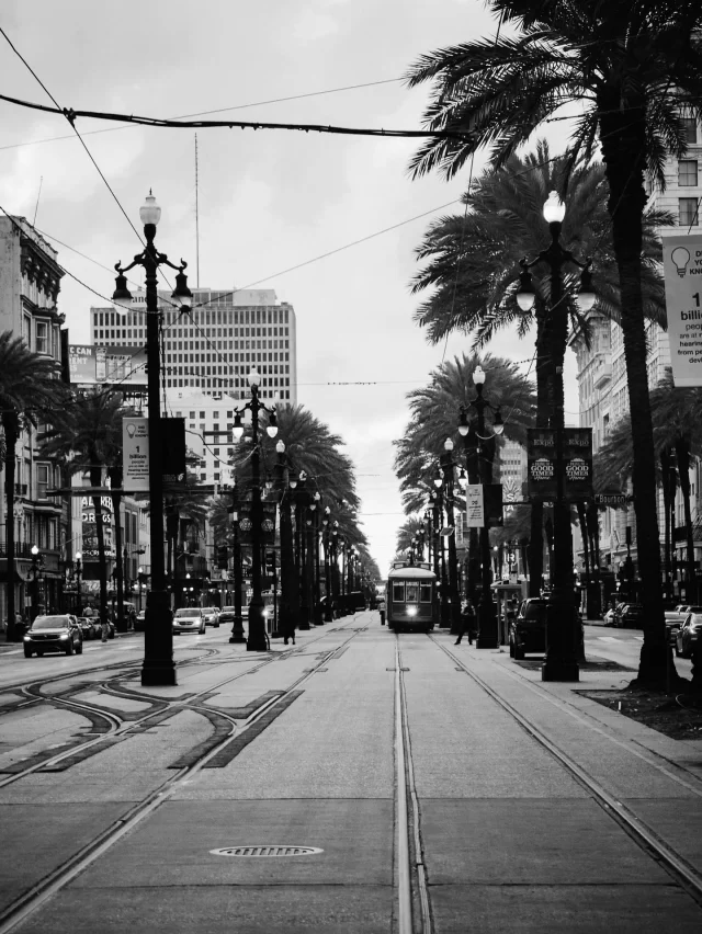 Lights, camera…New Orleans 🎷

From film sets to festivals, this city has *always* been centre stage in the world of entertainment. It’s a hub of culture, creativity and connection – and the perfect backdrop for SET.

New Orleans isn’t just where the show happens. It’s part of the story. Our home, our stage, our soundtrack. 

Season 4 is coming soon this 12-14 November. Ready to set the scene? 🖤